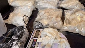 Elbląscy kryminalni zatrzymali dwóch mężczyzn z ponad 50 kg narkotyków. Wideo