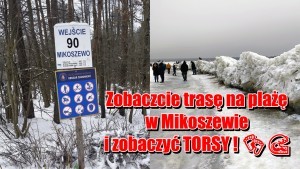 Zimowy cud natury nad Bałtykiem. Torsy - Lodowe rzeźby przyciągają tłumy turystów do Mikoszewa. Zobacz wideo i zdjęcia