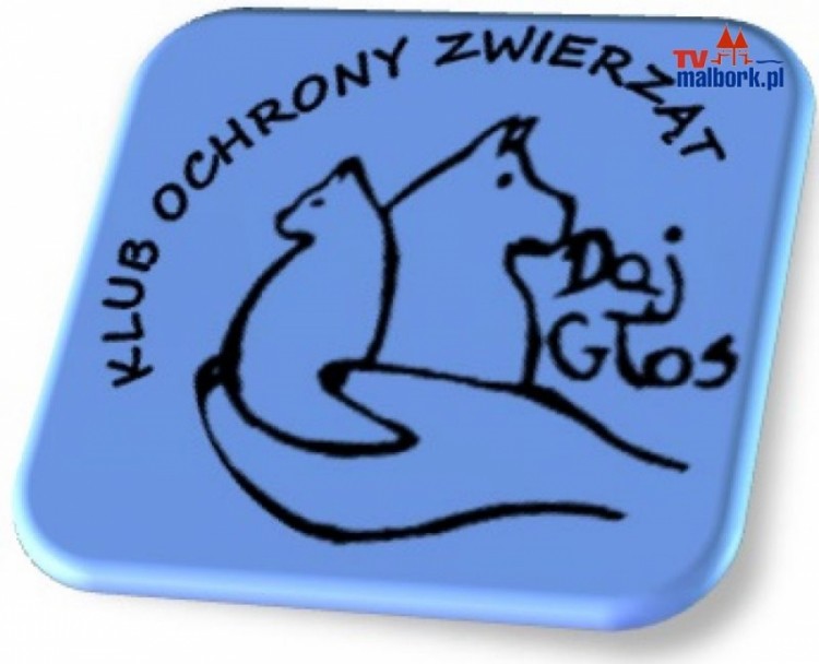 Klub Ochrony Zwierząt Daj-Głos