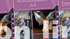 KAMIL BEDNAREK, PAWEŁ MAŁASZYŃSKI NIEBAWEM W MALBORKU! - ZOBACZ KALENDARZ IMPREZ NA 2014R.