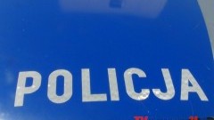 NOWODWORSKA POLICJA ZATRZYMAŁA 19-LATKA PODEJRZANEGO O KRADZIEŻ KRZEWÓW Z MIEJSKICH ZIELENIAKÓW –  06.10.2014