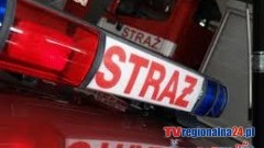 USZKODZONE DACHY, POWALONE DRZEWA NA ŻUŁAWACH. TO EFEKT WIEJĄCEGO OD WCZORAJ WIATRU - 04.01.2015