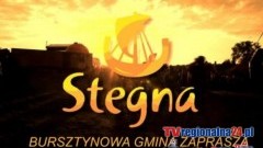 Stegna. Nabór na stanowisko - Pracownika ds. informatyki i informacji publicznej