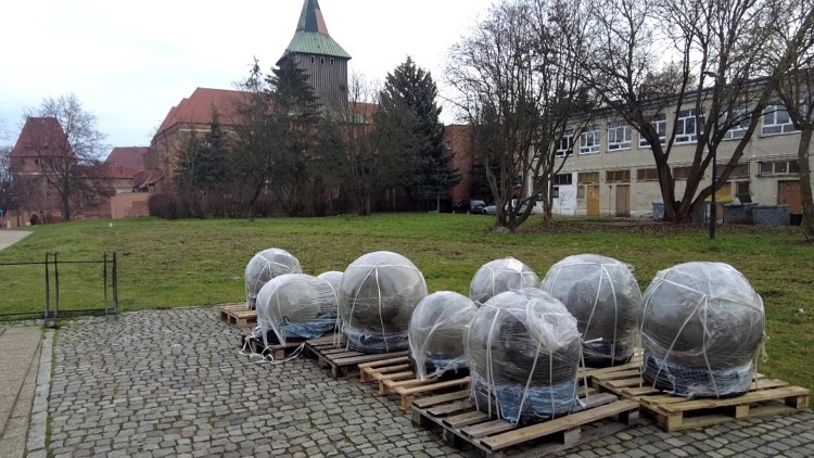 Malbork. Przestrzeń wokół Szkoły Łacińskiej wkrótce się zmieni. Wideo