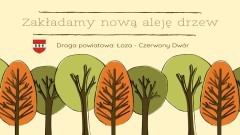 Powiat sztumski. Nowa aleja drzew powstanie w gminie Stary Targ.