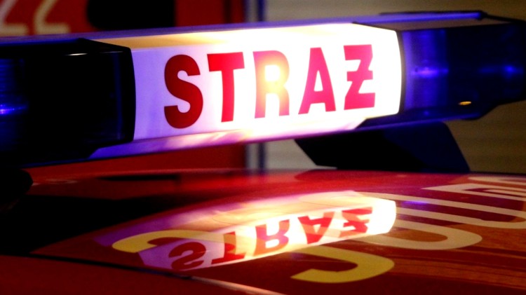 O krok od tragedii: 2,5 letnie dziecko na parapecie wieżowca – tygodniowy…