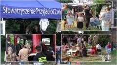 Malbork. Festyn na rzecz REKS-a zgromadził tłumy przyjaciół zwierząt.