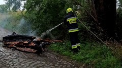 Pożary, gniazda owadów i wypadek drogowy – tygodniowy raport malborskich służb mundurowych.