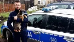 Nowy Staw. Policjant przygarnął porzuconego psa.