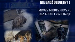 Nowy Dwór Gdański. Policjanci apelują – silne mrozy są niebezpieczne dla ludzi i zwierząt!