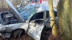 DW501. Jedna osoba w szpitalu po uderzeniu osobówki w drzewo w pobliżu Krynicy Morskiej.