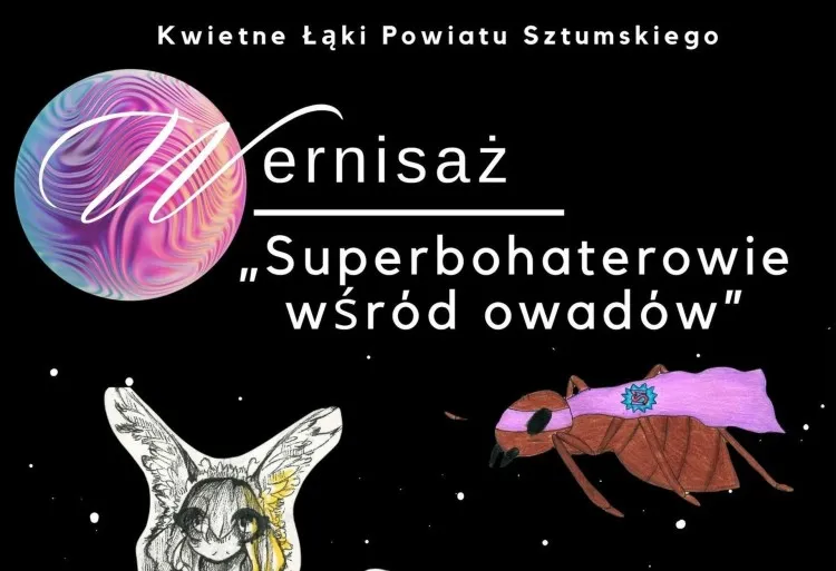 Sztum. Wernisaż wystawy prac Superbohaterowie wśród owadów.