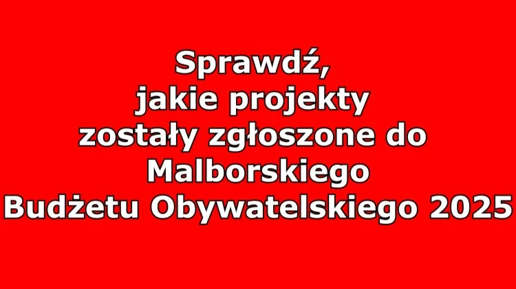 Malbork. Sprawdź, jakie projekty zostały zgłoszone do Budżetu Obywatelskiego&#8230;