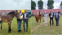 Stare Pole. Najlepsi hodowcy koni nagrodzeni przez Starostów Powiatu Malborskiego i Sztumskiego.