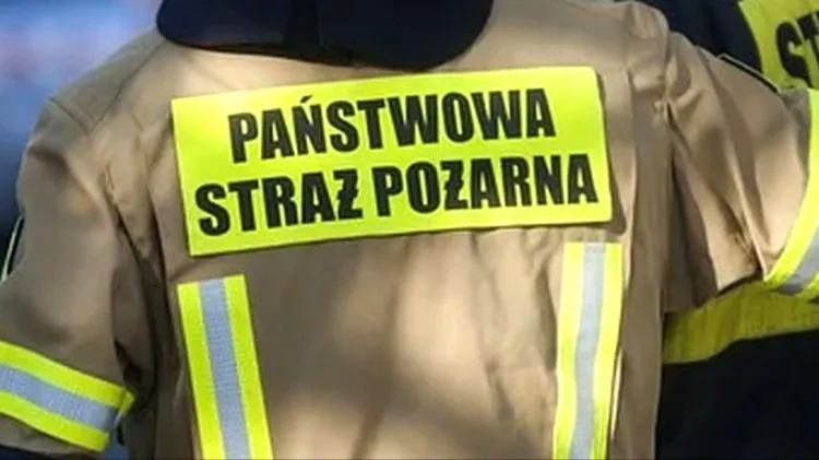 Powalone drzewa, zalana piwnica i gniazda os – tygodniowy raport malborskich&#8230;