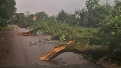 Strażacy powiatu nowodworskiego walczyli ze skutkami wtorkowej nawałnicy.