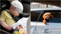 Nie zostawiaj dziecka i zwierząt w samochodzie – apelują policjanci.