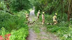 Usuwanie skutków wichury, pożar instalacji elektrycznej i kot na drzewie&#8230;