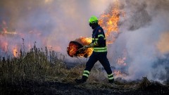 Pożary, wypadek motocyklistki i kot na drzewie – raport sztumskich służb mundurowych.