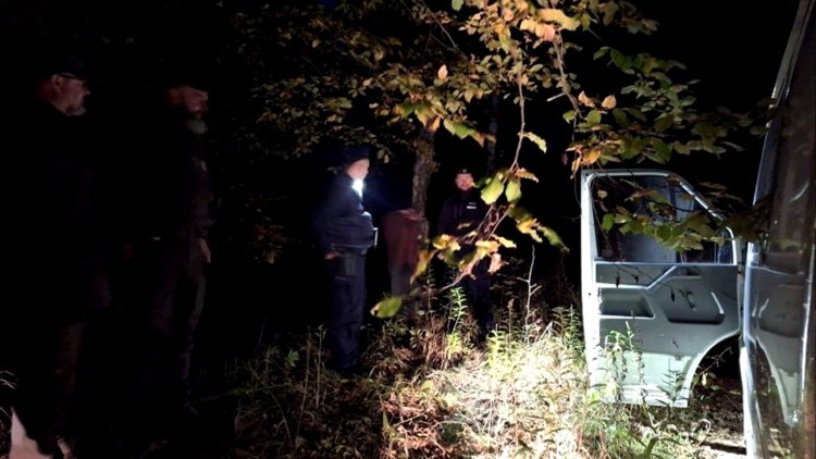 Powiat sztumski. Kradli drewno z lasu – grozi im kara więzienia.