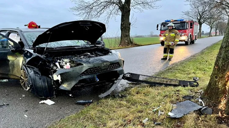 Gmina Nowy Staw. Osobówka uderzyła w drzewo.