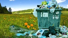 Harmonogram wywozu odpadów komunalnych w 2025 r. na terenie Gminy Miłoradz. 