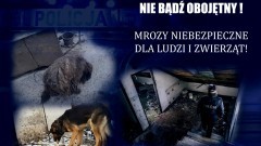 Mrozy są niebezpieczne dla ludzi i zwierząt – apelują policjanci.