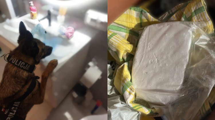Tymczasowy areszt dla 40-latka z gminy Malbork, za posiadanie znacznej…
