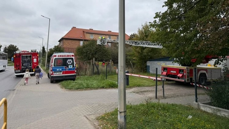 Dziecko na drzewie, próba samobójcza i wypadki drogowe – tygodniowy raport malborskich służb mundurowych.
