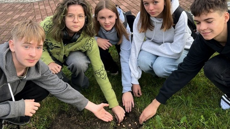 Krokus - Technikum nr 3 w Malborku po raz piąty w projekcie upamiętniającym dziecięce ofiary Holokaustu.