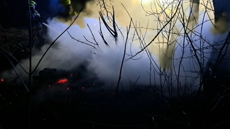 Pożary traw, śmietników i śmieci - tygodniowy raport malborskich służb mundurowych.