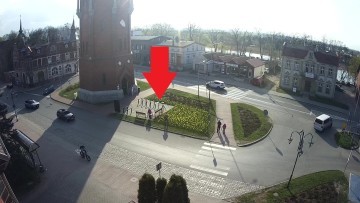 Kolejna kradzież kwiatów z miejskiego klombu w Malborku. Nasza kamera…