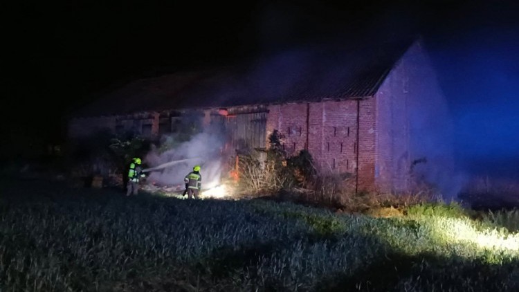 Pożary, owady błonkoskrzydłe i kolizja - tygodniowy raport malborskich…