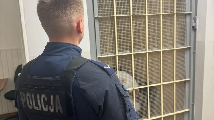 Nie zatrzymał się do kontroli i zaczął uciekać. Policjanci szybko…