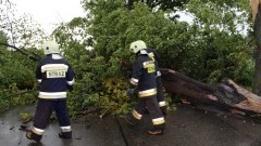 Powiat sztumski. Gwałtowna burza połamała kilka drzew – 01.06.2016