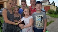 Nowy Dwór Gd. Znależli kotka i szukają mu domu - 30.06.2016