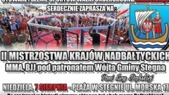  II Mistrzostwa Krajów Nadbałtyckich. Zapraszamy na ALMMA 115 w Stegnie – 07.08.2016