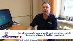 Potrącił pieszego. Poważny wypadek na drodze nr 501 pomiędzy Sztutowem a Kątami Rybackimi - 09.08.2016