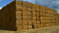 Straż Pożarna informuje. Wymagania przeciwpożarowe dla stert, stogów i brogów - 31.08.2016