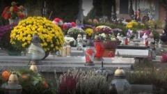 22 miejsca handlowe na sprzedaż  kwiatów i zniczy przy Cmentarzu Komunalnym w Malborku - 18.10.2016
