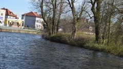 Wichura na Wybrzeżu. Możliwość cofki na Żuławach - 27.11.2016