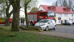 Sztum: Drzewo spadło na forda! O krok od tragedii... – 11.04.2017