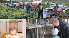 Zapraszamy na VIII Wiosenne Targi Ogrodnicze w Starym Polu - 22-23.04.2017