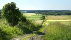 Sztutowo. Zapraszamy do udziału w  IX edycji konkursu „Polska wieś – dziedzictwo i przyszłość”- 28.07.2017