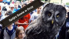 Co mówi sowie spojrzenie? III Happening przyrodniczy w Malborku – 09.09.2017