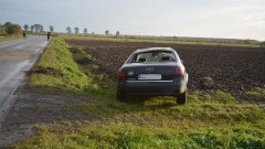 Nowinki.: Sarna wybiegła na drogę, Audi wypadło z drogi i dachowało. - 03.10.2017