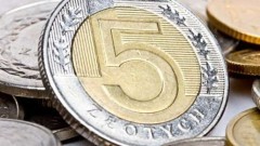 Wsparcie dla malborskiego Stowarzyszenia Przyjaciół Zwierząt REKS : Akcja - "Przekaż piątaka na „REKSiaka" - 24.10.2017