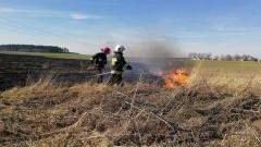 Kilkanaście pożarów łąk, lasów, nieużytków. To już prawdziwa plaga...  Raport weekendowy sztumskiej straży pożarnej