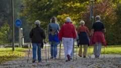 Malbork : Warsztaty NORDIC WALKING w ramach akcji „Spacer po zdrowie - Zaproś swojego lekarza”.