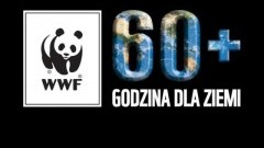 Malbork: Godzina dla Ziemi WWF. Dołącz do akcji.